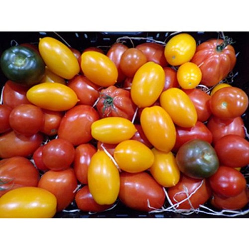 Tomates mix 500g