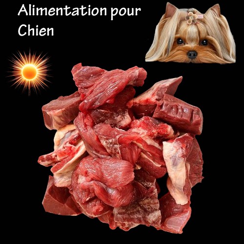 Aliments pour Chien