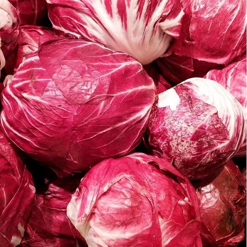 Fruits et Légumes : Radicchio 